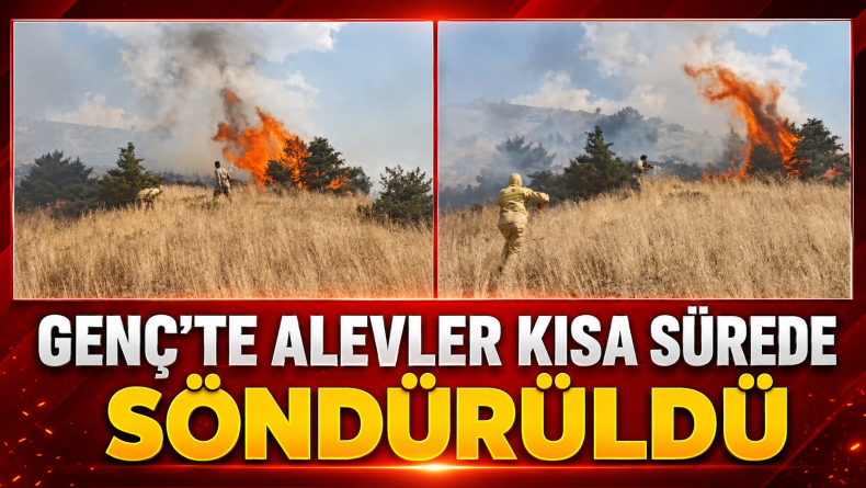 Genç’te Alevler Kısa Sürede Söndürüldü