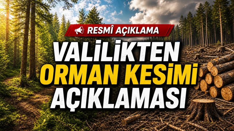 Valilikten Orman Kesimi Açıklaması