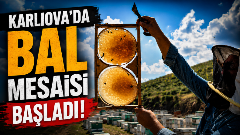 Karlıova’da Bal Mesaisi Başladı