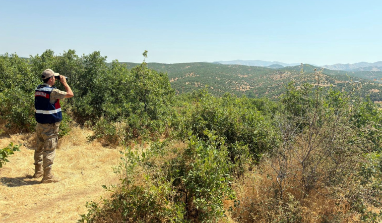 Jandarma Kayıp Hayvanları Buldu