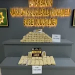 Diyarbakır’da Uyuşturucu Operasyonunda 2 Gözaltı