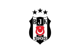 6aa03c8f581a24368a481fc6