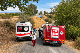 Belediye Minibüsü Kaza Yaptı:3 yaralı