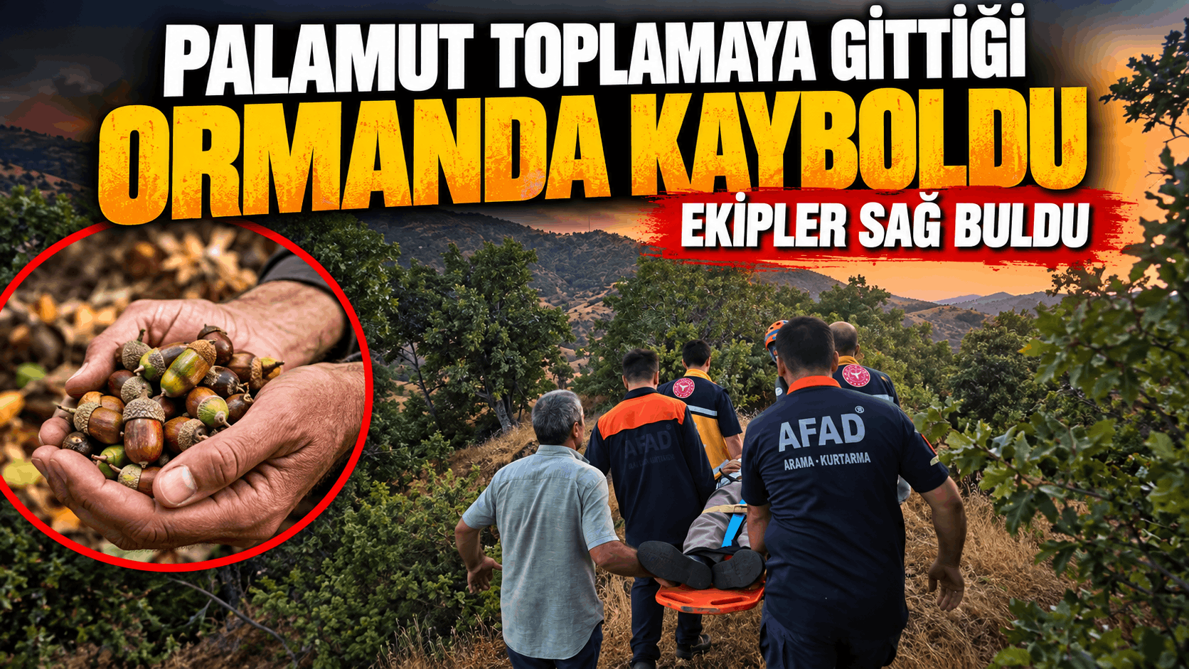 Palamut toplamaya gittiği ormanda kayboldu, ekipler sağ buldu