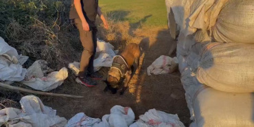 IfaXCtd-p2sV9ayK.mp4_snapshot_00.45.000