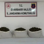 Diyarbakır’da 42 Kilo Uyuşturucu Ele Geçirildi: 25 Şüpheli Hakkında İşlem