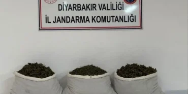 Diyarbakır’da 42 Kilo Uyuşturucu Ele Geçirildi: 25 Şüpheli Hakkında İşlem