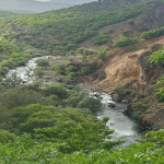 orman-