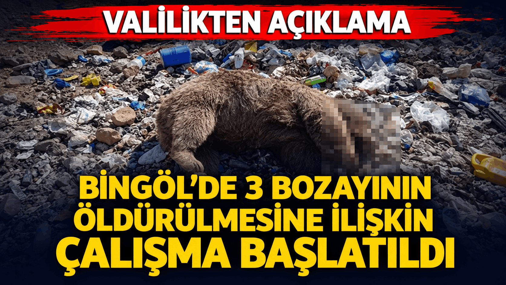 Bingöl’de 3 bozayının öldürülmesine ilişkin çalışma başlatıldı