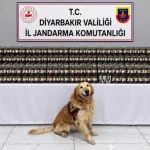 Diyarbakır’da Kaçakçılık Operasyonlarında 29 Şüpheli Hakkında İşlem