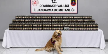 Diyarbakır’da Kaçakçılık Operasyonlarında 29 Şüpheli Hakkında İşlem