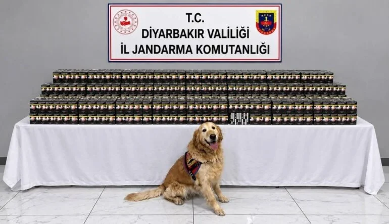 Diyarbakır’da Kaçakçılık Operasyonlarında 29 Şüpheli Hakkında İşlem