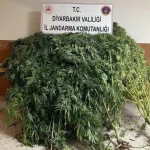 Diyarbakır’da Uyuşturucu Operasyonlarında 32 Şüpheliye İşlem Yapıldı