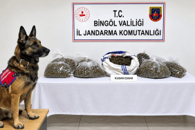Bingöl’de 31 şüpheli hakkında işlem yapıldı