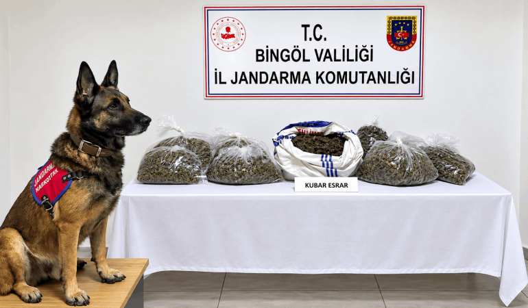 Bingöl’de 31 şüpheli hakkında işlem yapıldı