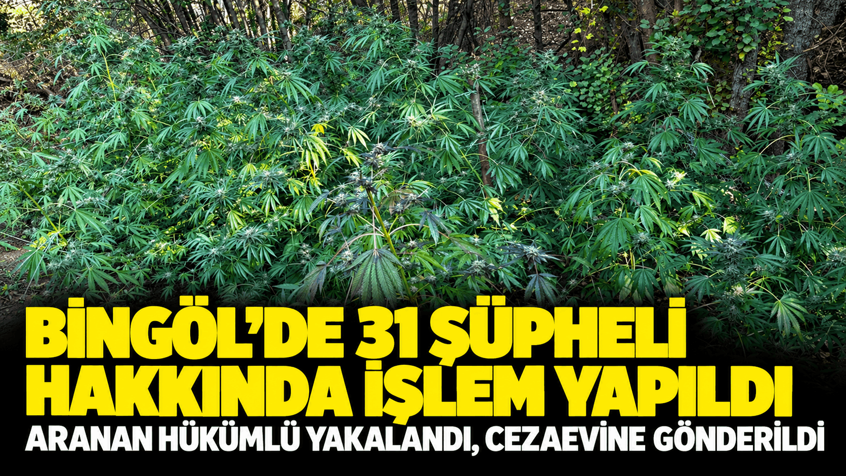 Bingöl’de 31 şüpheli hakkında işlem yapıldı