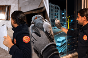 Bingöl’de havalandırma boşluğuna düşen 3 güvercin kurtarıldı