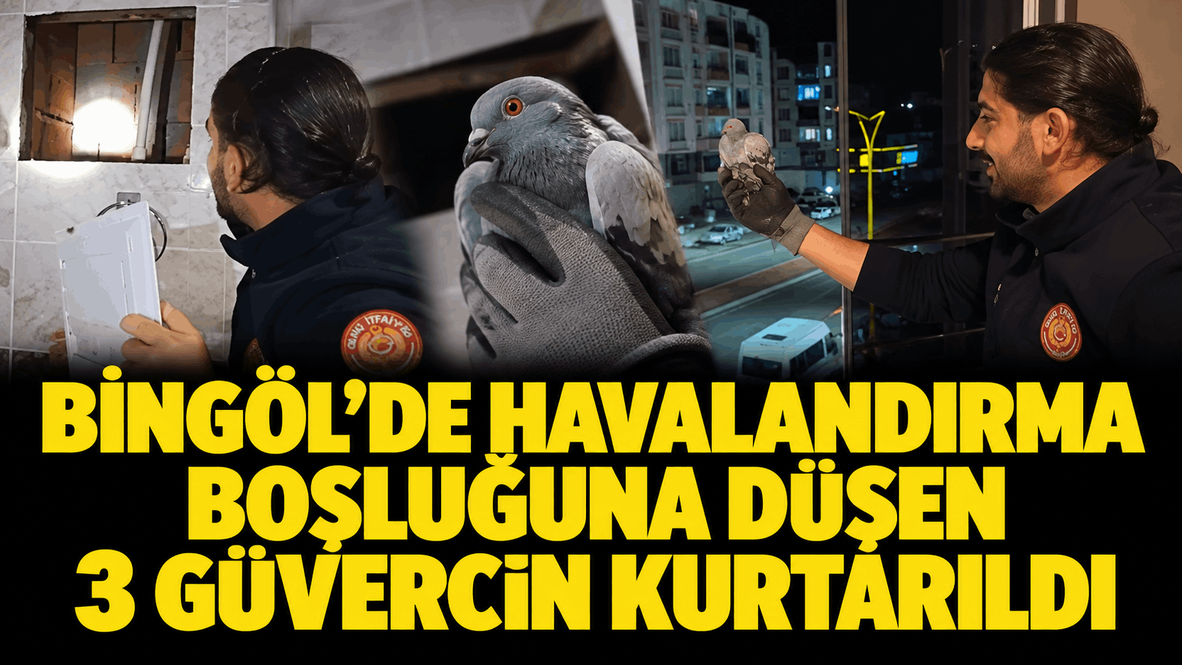 Bingöl’de havalandırma boşluğuna düşen 3 güvercin kurtarıldı