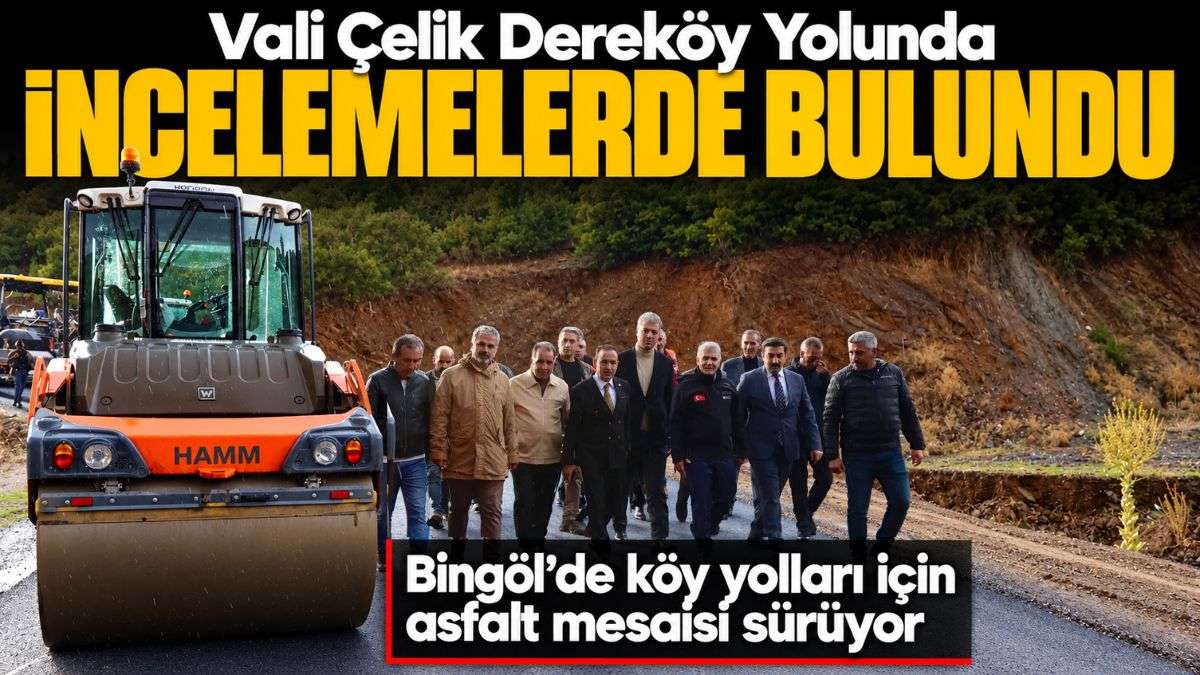 Bingöl’de köy yolları için asfalt mesaisi sürüyor
