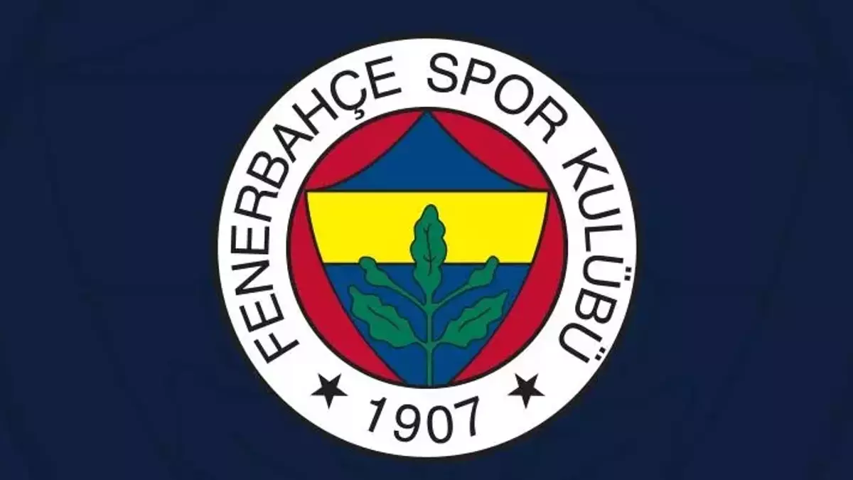 5e43e89ab57f151e68c0ddb6