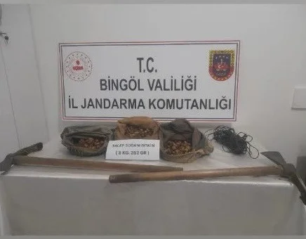 SALEP SOĞANI