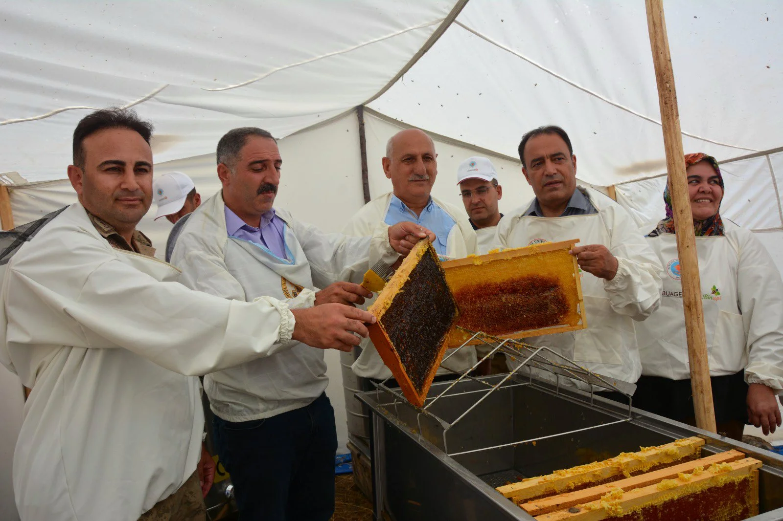 bingöl balı