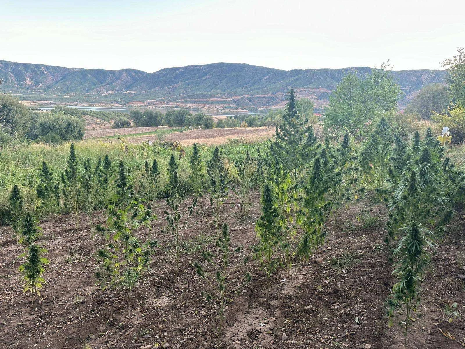 dbc21119-89f9-4d7d-92fb-91543227511c