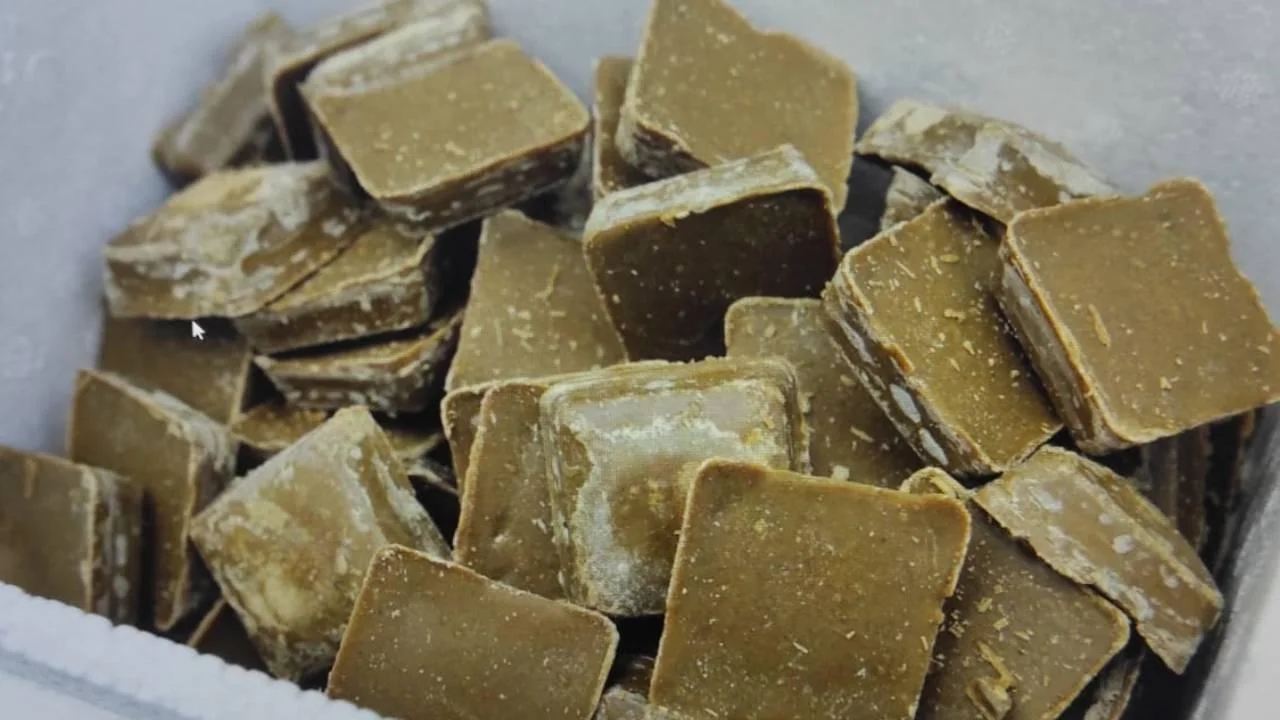 bingol-kuduz-yem-aa-2013348