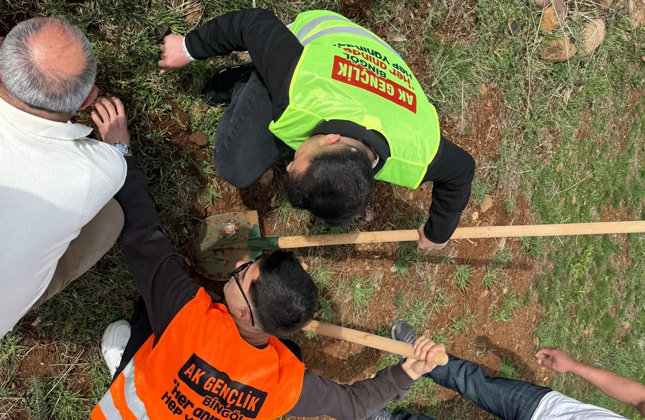 892d9388-89eb-43ba-8594-df9cf91f1c4b