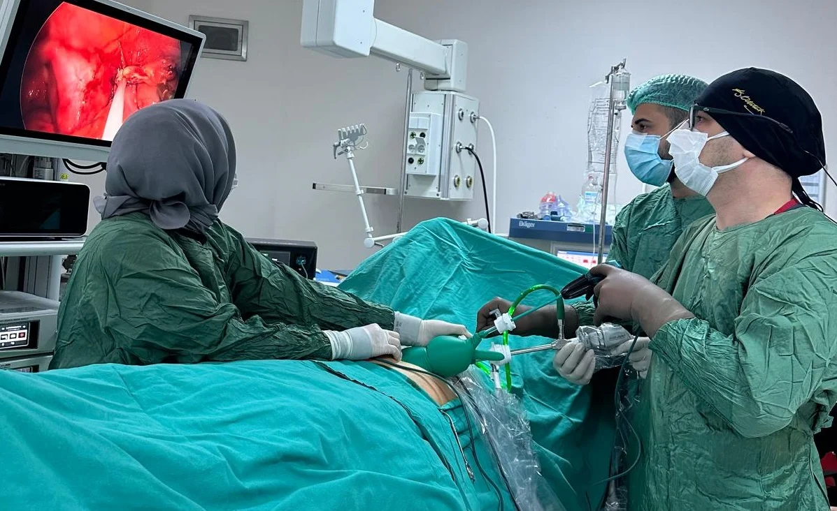 e2cb33c7-7de5-4067-8ea7-a7022193519b