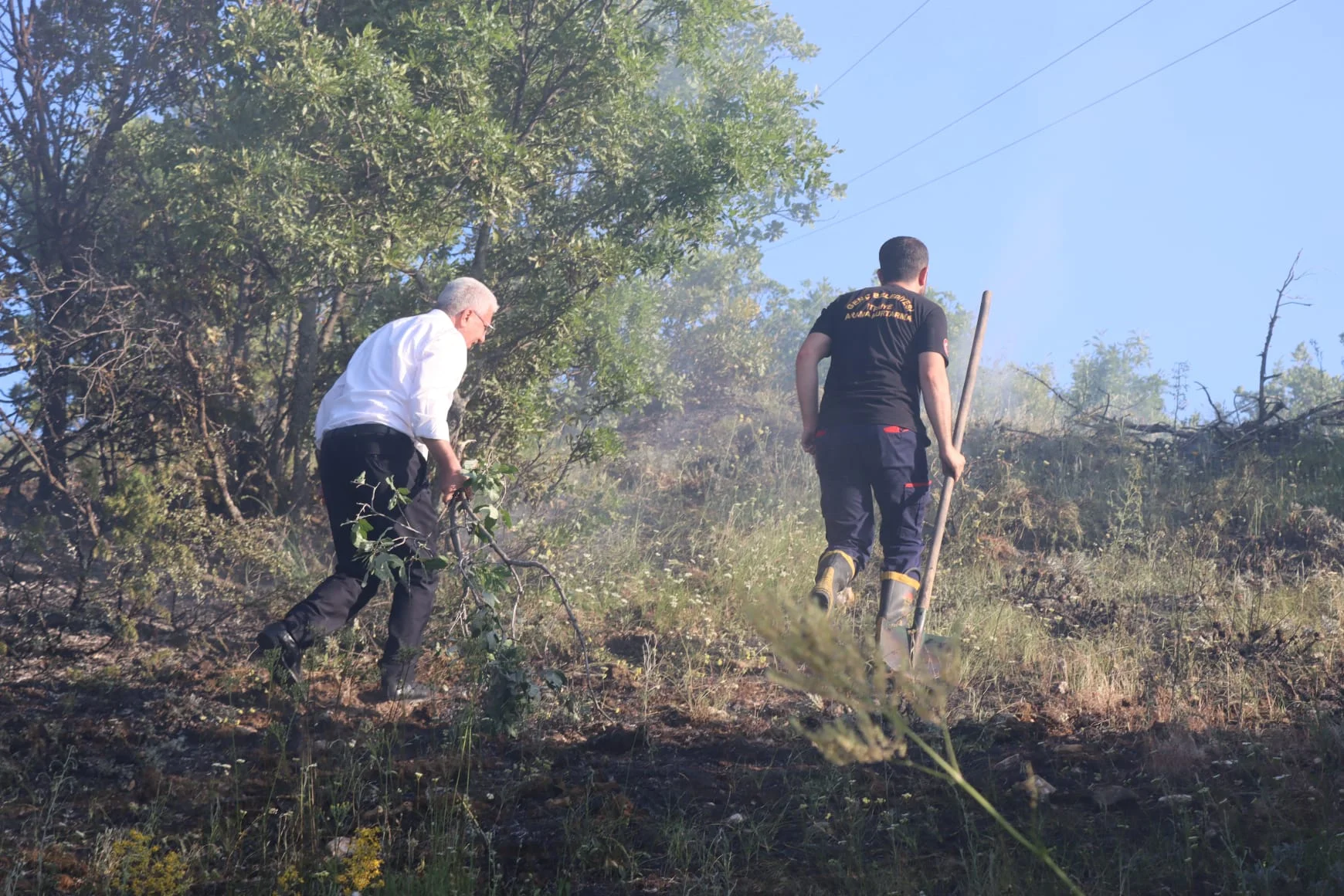 fe20c402-01e7-4710-9d6f-e8673949a8a7