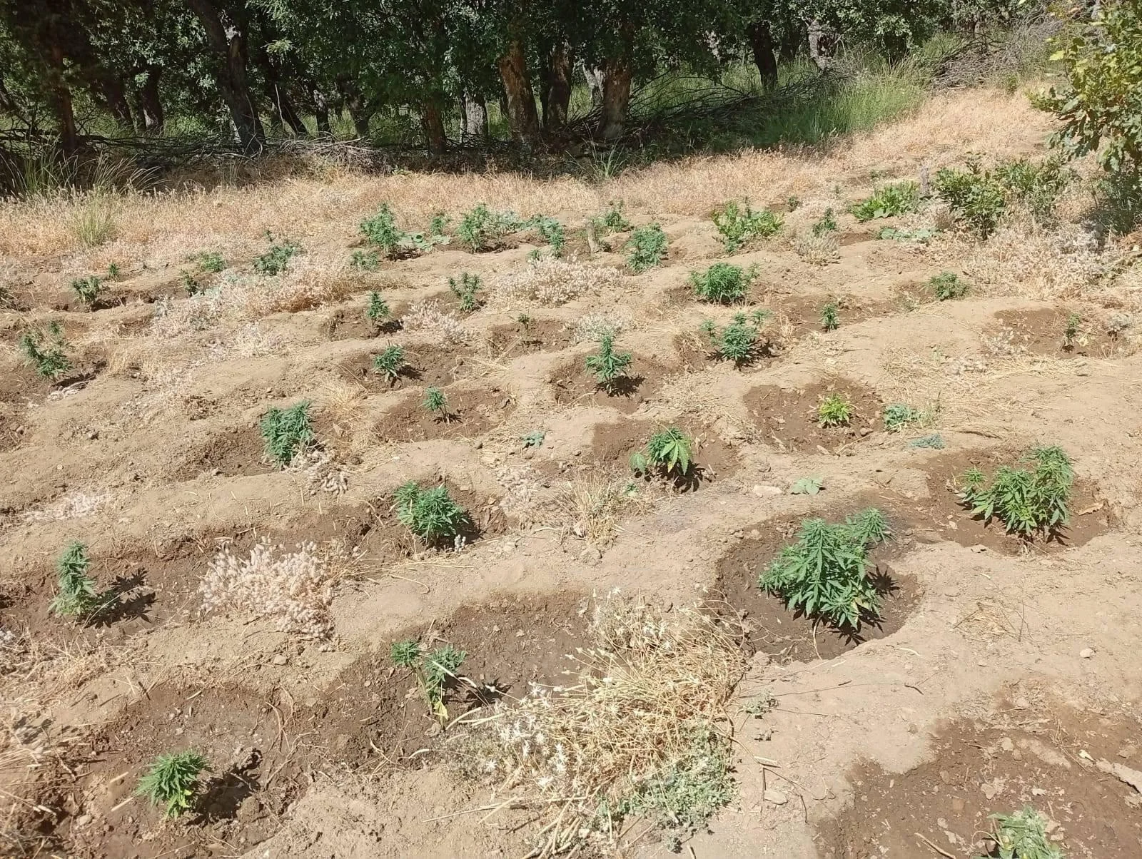 0ae27f4f-d965-482f-800d-ae102d15f5f1