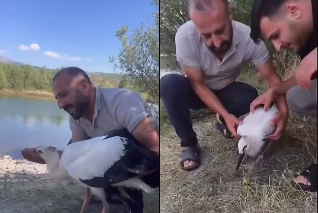 WhatsApp Video 2025-07-09 at 14.22.01.mp4_snapshot_00.01-horz