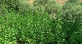 62349a8a-2bee-440e-8cc1-608dc7b2b83a