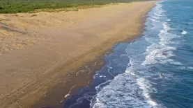 Türkiye Çevresindeki Denizler Rekor Sıcaklıkla Karşı Karşıya: Ekosistemler Tehlikede