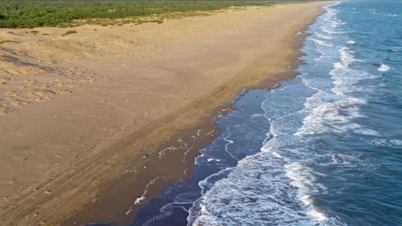 Türkiye Çevresindeki Denizler Rekor Sıcaklıkla Karşı Karşıya: Ekosistemler Tehlikede