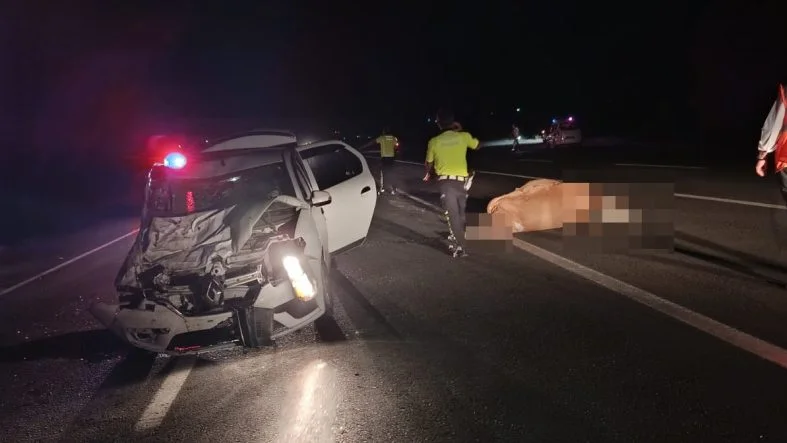 Bingöl’de Araç İneğe Çarptı