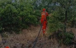 GzJB04zXQAAiiFo_enhanced