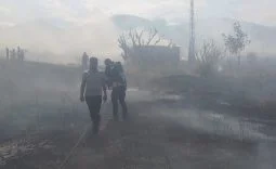 c51d49b8-1ac1-463b-9be5-852ce6ea33bf