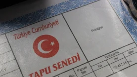 tapu