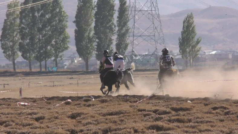 11030018.MP4_snapshot_00.14.308