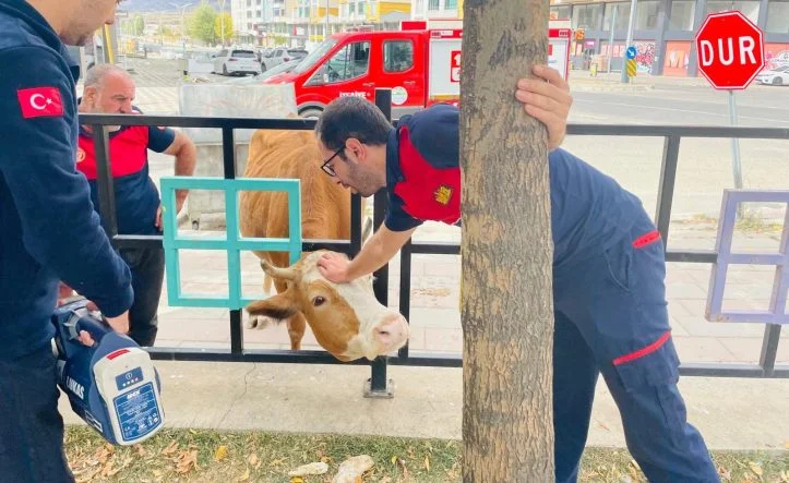 8646a281-f2e7-4404-89b6-c957da8a63dc