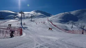 61eff6cf45d2a07724ee7ba6