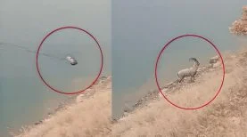 69426d13e011bf6418500b93-horz