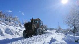 77eb5577-bb46-4475-bcfe-b02ad989ea33