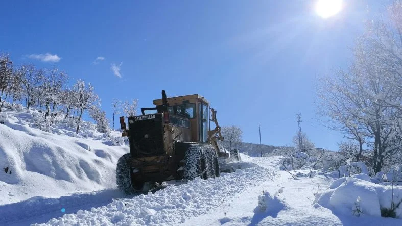 77eb5577-bb46-4475-bcfe-b02ad989ea33