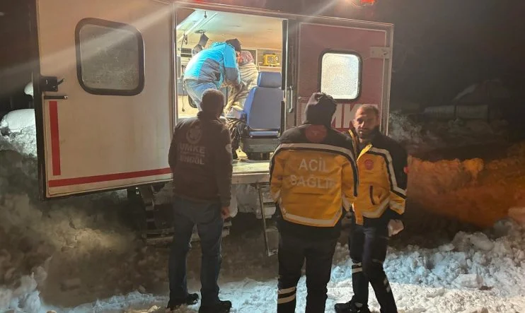 37b332be-c059-4462-b3d0-bddee90f30be (1)