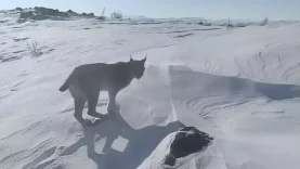 695a5f2239465790ca555657