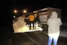 696748f3784099054f36e381