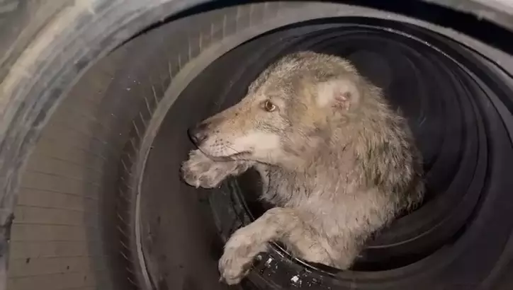 696e40ca7f283a7e6dfbcd9b